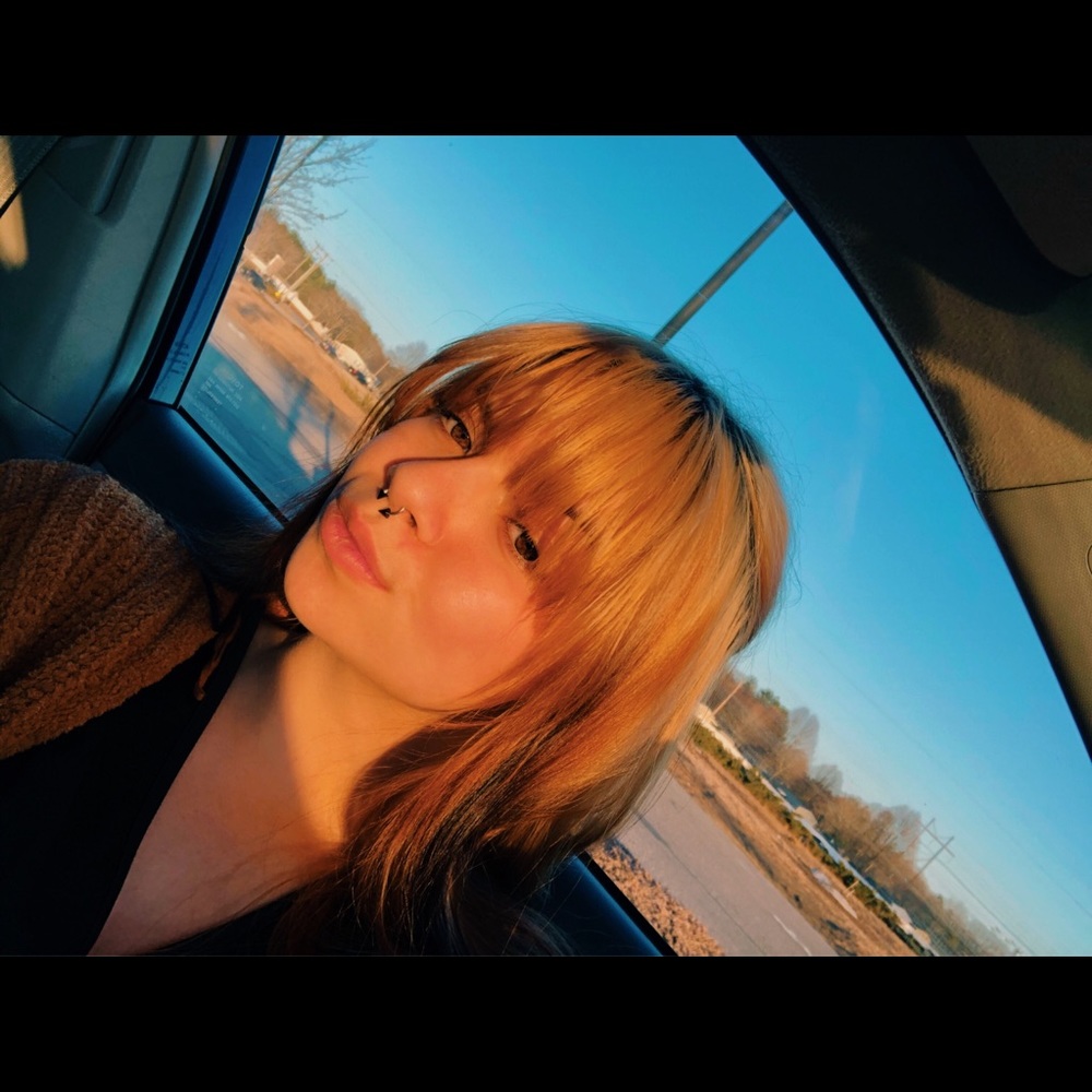 Meet your Posher, Sierra